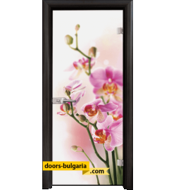 Стъклена интериорна врата, Print G 13-2, каса Венге