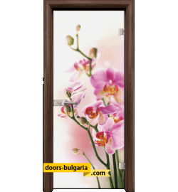 Стъклена интериорна врата, Print G 13-2, каса Орех