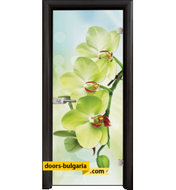 Стъклена интериорна врата, Print G 13-3, каса Венге
