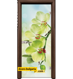 Стъклена интериорна врата, Print G 13-3, каса Орех