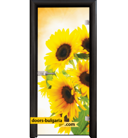 Стъклена интериорна врата, Print G 13-4, каса Венге