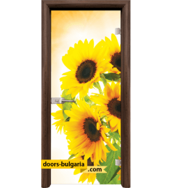 Стъклена интериорна врата, Print G 13-4, каса Орех