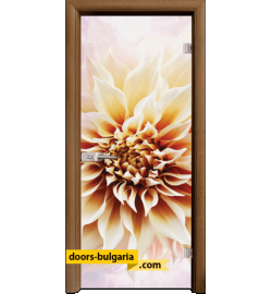 Стъклена интериорна врата, Print G 13-5, каса Златен дъб